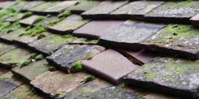 Abbots Bromley roof repair costs